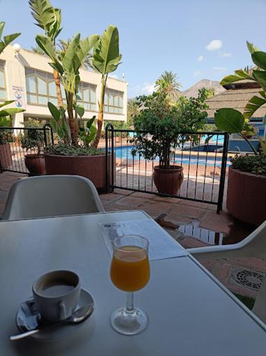 Apartment Estudio Alegria Benal *